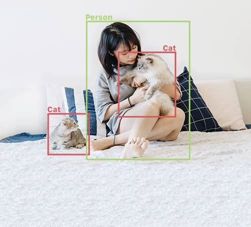 Object Detection Artificial Tech