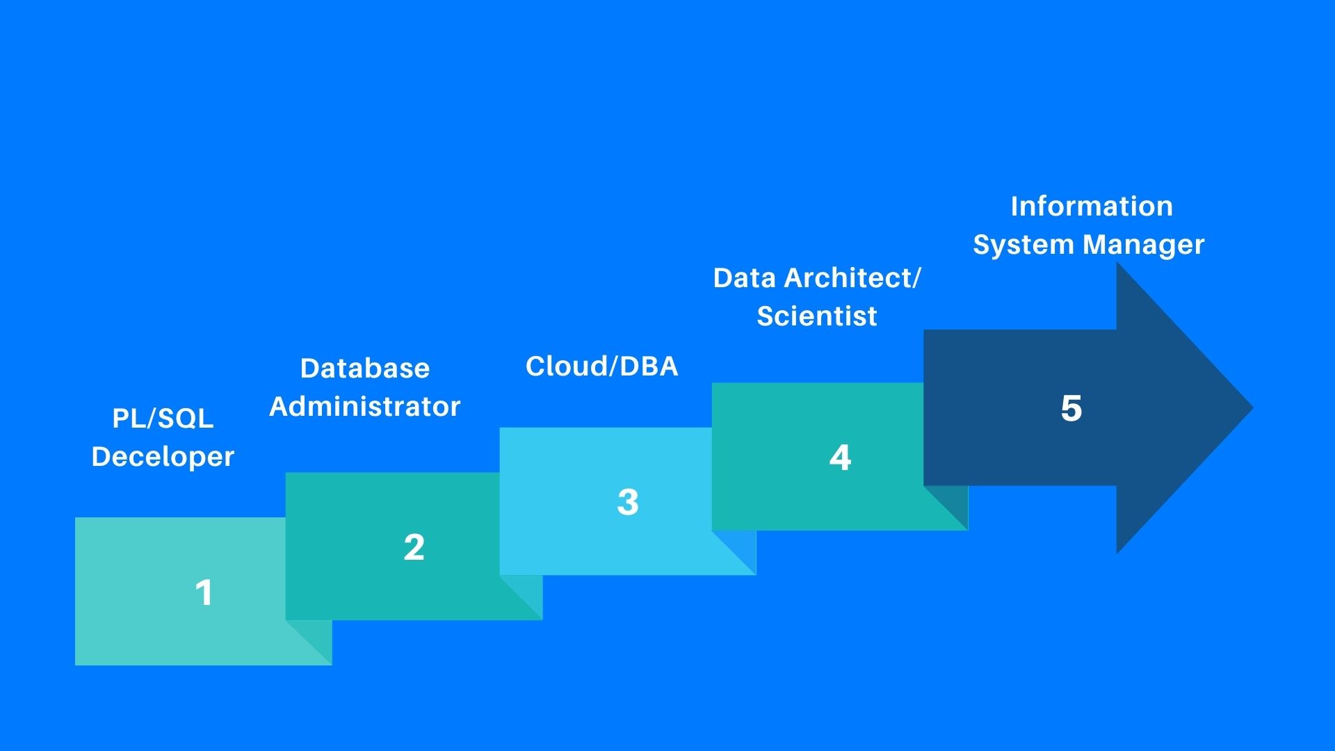 Database Career Path