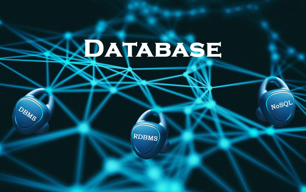 Database Training Program